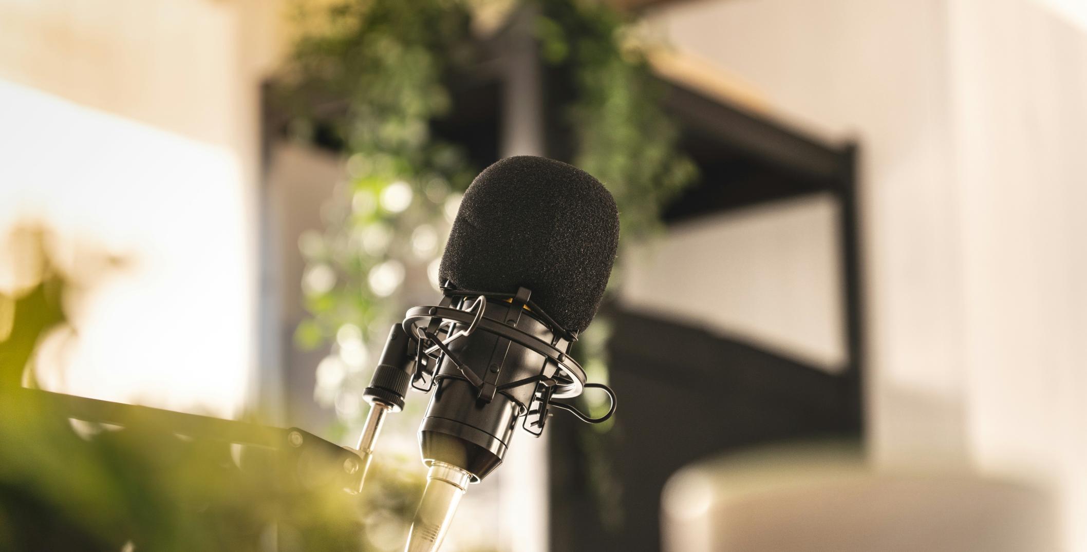 Microphone in nature