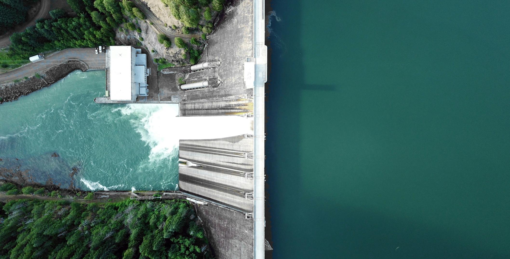 Clean water and pine trees