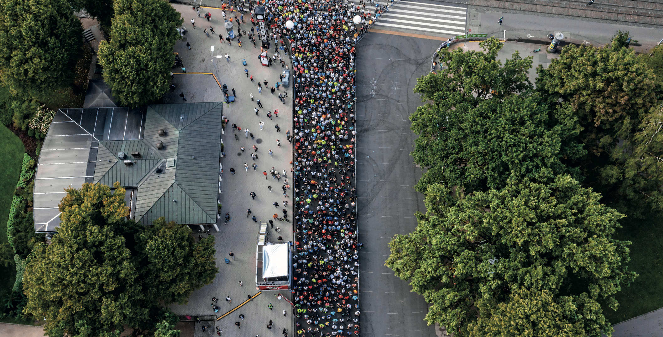 sustainable action article