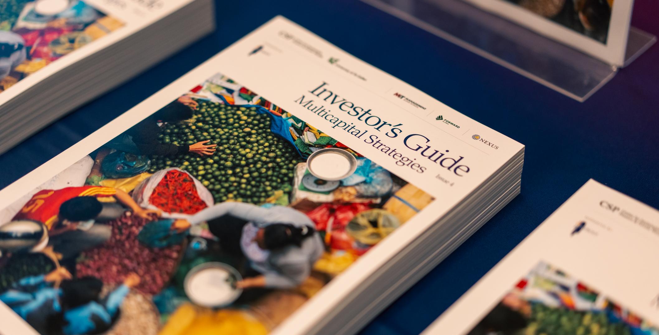 Investor's Guide Multicapital Strategies Launch event