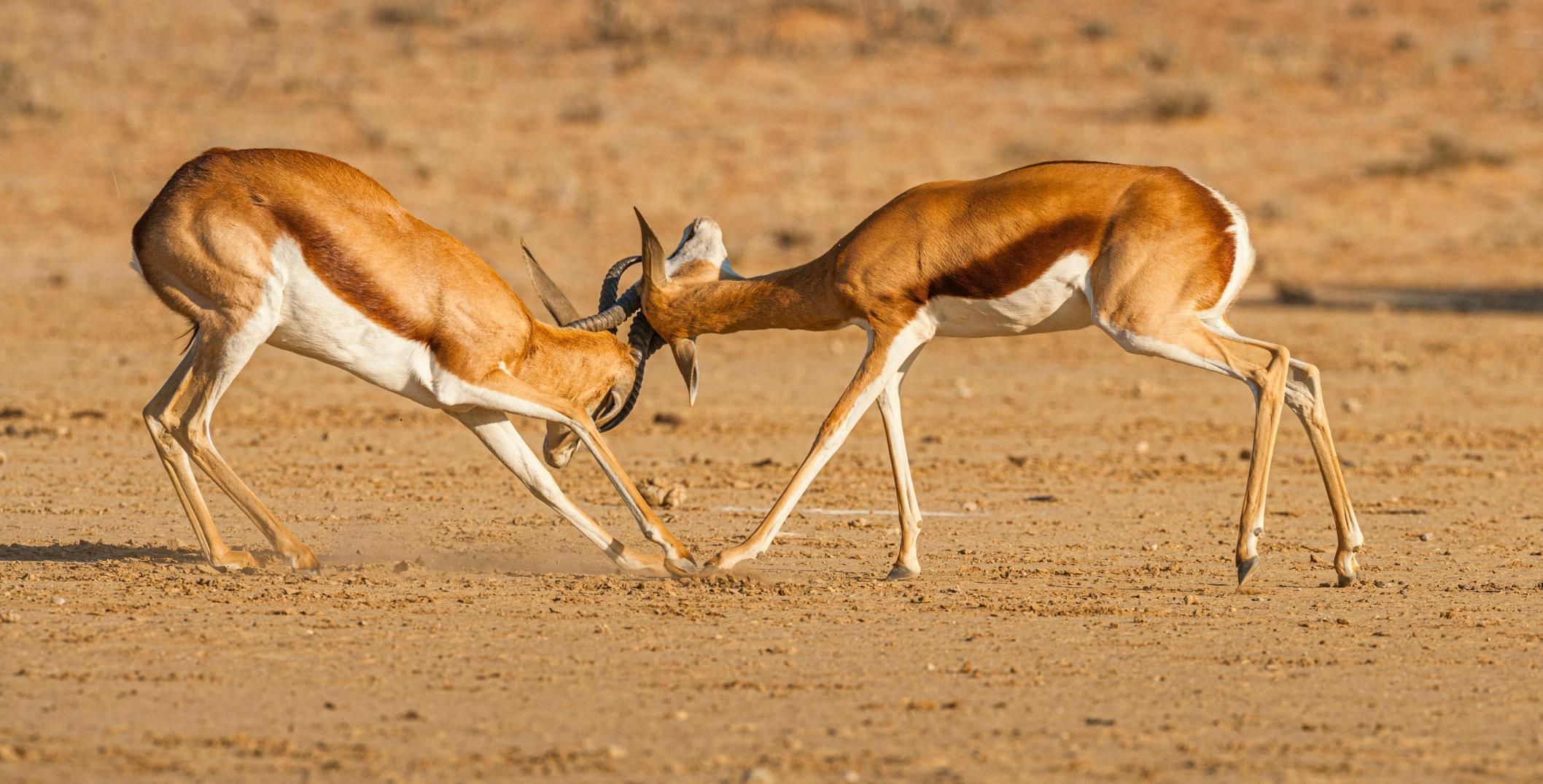 persevering-through-difficult-conversations