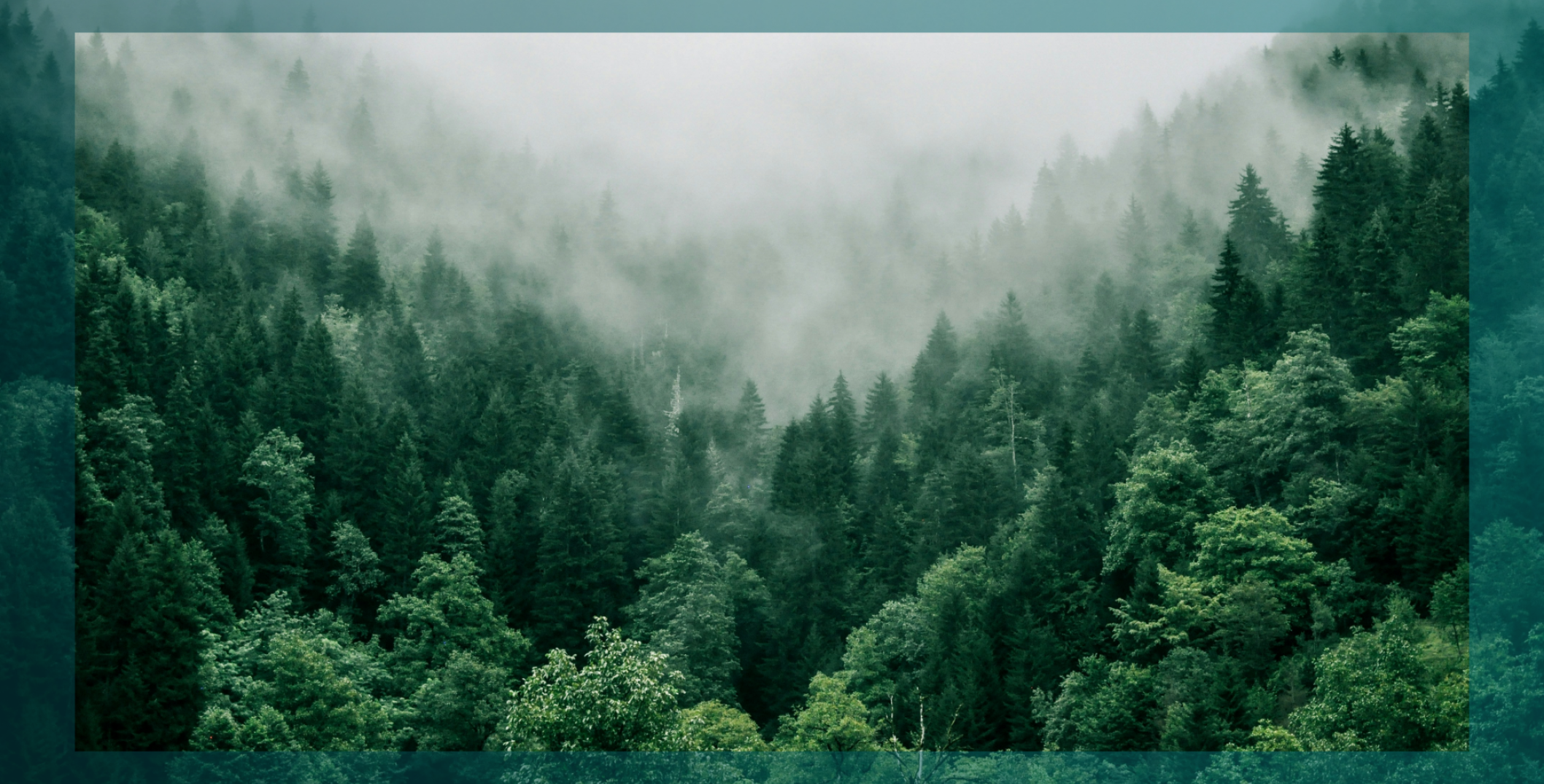 Impact by design webinar