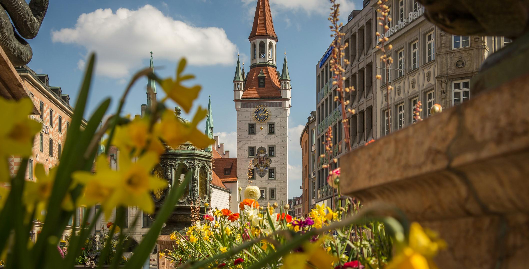 Munich Family Office Program CSP