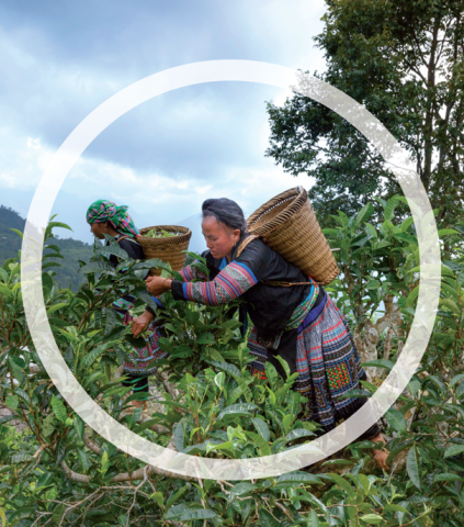 field working stock image with circle