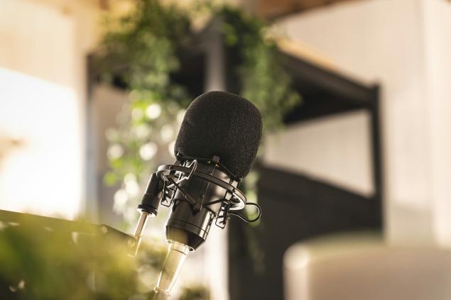 Microphone in nature