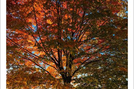 ig-b-corp-report-cover