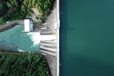 Clean water and pine trees