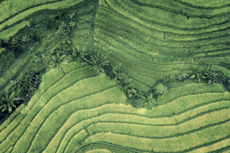 blended-finance-image