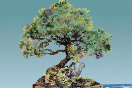 cover image asia report