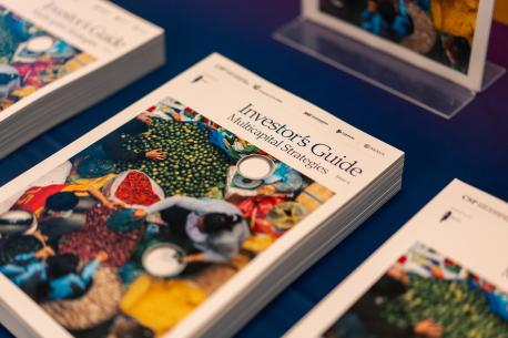 Investor's Guide Multicapital Strategies Launch event