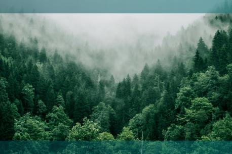 Impact by design webinar