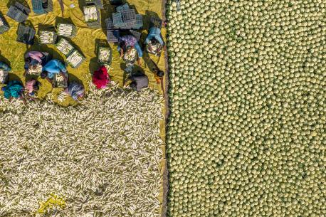 Agriculture work